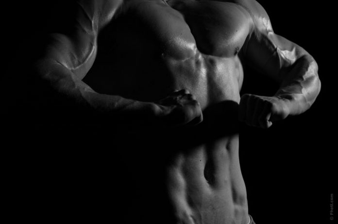 Six Pac Modler New Model Agency Hires Only Models with Six Pack | Geniusbeauty