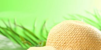 How to Avoid Vacation Arguments