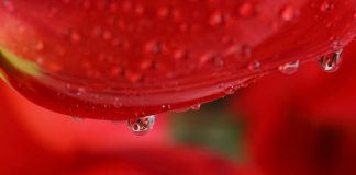 10 Strange Turn-ons for Men