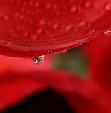 10 Strange Turn-ons for Men