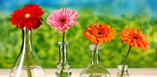 32 Best Home & Vacation Life Tricks