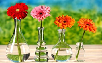 How To Clean a Vase with a Narrow Neck?