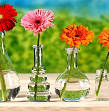 10 Tips for Hosting Guests at Home