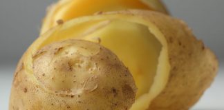 Potato Salad Becomes a Kickstarter Hit