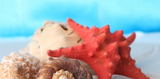 Vacation Beauty Tips: Hairstyle, Makeup & Manicure