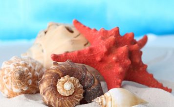 15 Awedome Ideas for Budget Holiday Makers