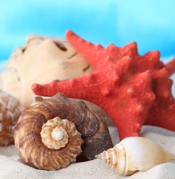 15 Awedome Ideas for Budget Holiday Makers