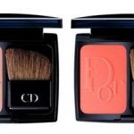 Dior-Fall-2014-Makeup-Collection_6