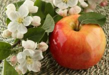 Apple Vinegar for Your Beauty