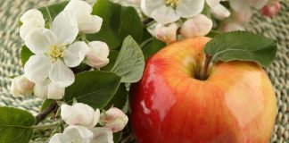 Apple Vinegar for Your Beauty