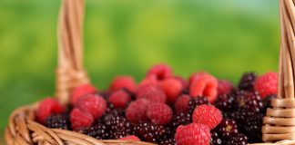 5 Metabolism Myths Busted