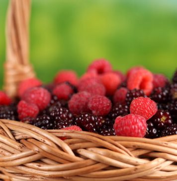 5 Metabolism Myths Busted