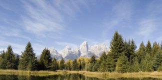 Echoes Through Time: Jackson Hole Historical Society