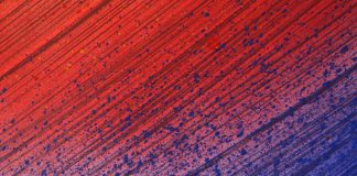 Using Carpets as Part of a Luxury Interior