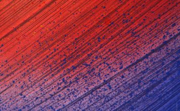 Using Carpets as Part of a Luxury Interior