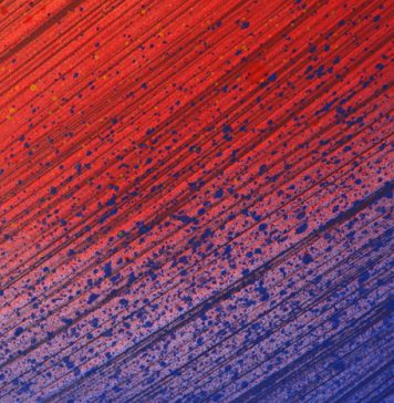 Using Carpets as Part of a Luxury Interior