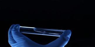 DNA Based Weight Loss Diet Is the Most Efficient One