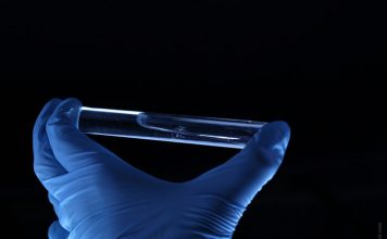 DNA Based Weight Loss Diet Is the Most Efficient One