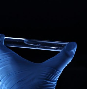 DNA Based Weight Loss Diet Is the Most Efficient One