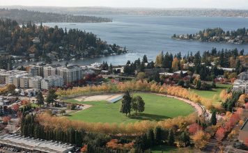 Beautiful Bellevue: In Search of Bellevue’s Best Parks