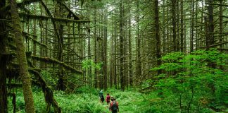 5 Fitness Trends That Have Stood the Test of Time