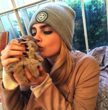 7 Celebrities with Exotic Pets