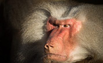 Phrases That Help Avoid a Conflict