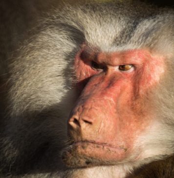 Phrases That Help Avoid a Conflict