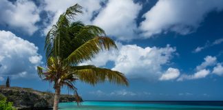 8 Ways to Survive the First Working Day after Vacation