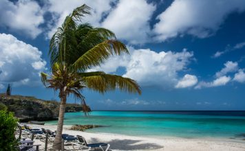 8 Ways to Survive the First Working Day after Vacation