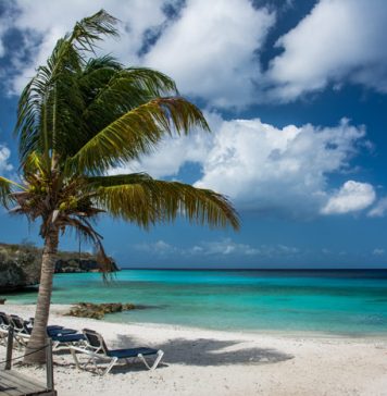 Things All Girls on Vacation Do & Never Confess