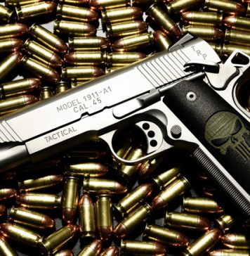 11 Celebs Who Are For Guns