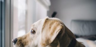 How to Avoid the Fall Blues