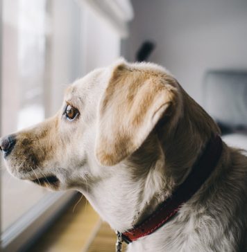 How to Avoid the Fall Blues