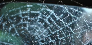 12 Weirdest Phobias Ever