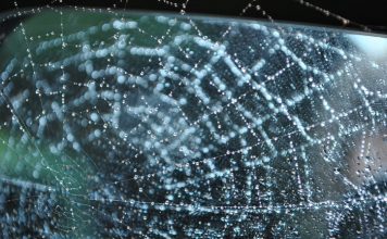 12 Weirdest Phobias Ever