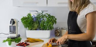 Veritable Kitchen Mini-Garden