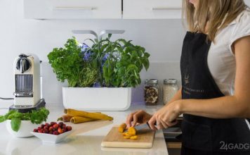 Veritable Kitchen Mini-Garden