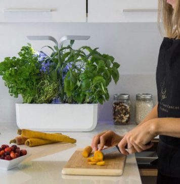 Veritable Kitchen Mini-Garden