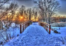 Beautiful Winter Pictures