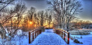 Beautiful Winter Pictures