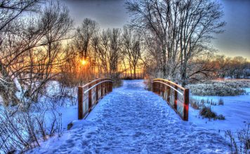 Beautiful Winter Pictures