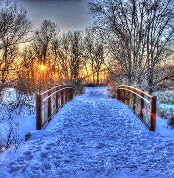 Beautiful Winter Pictures