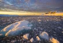 20 Incredible Facts about Antarctica