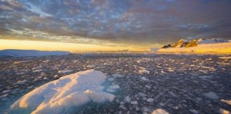 20 Incredible Facts about Antarctica