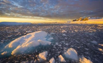20 Incredible Facts about Antarctica