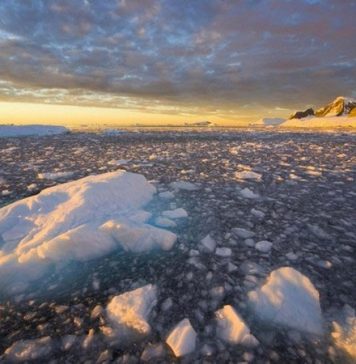 20 Incredible Facts about Antarctica