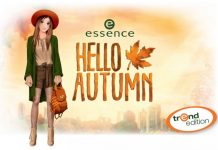 Essence Hello Autumn Makeup