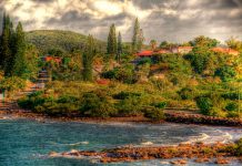 New Caledonia: The Definition of Global Biodiversity