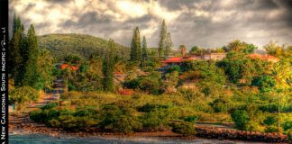 New Caledonia: The Definition of Global Biodiversity